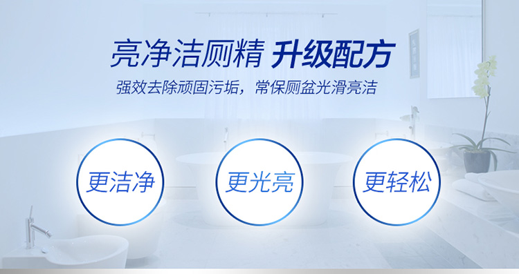 LQG10-1强效+光亮洁厕精1L